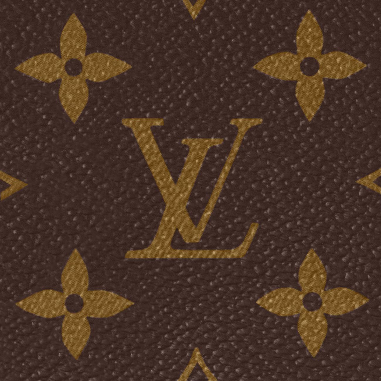 Túi Louis Vuitton Petit Sac Plat Nữ Monogram 